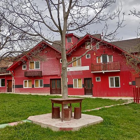 Pensiunea Irina 3 Zarnesti Exterior foto