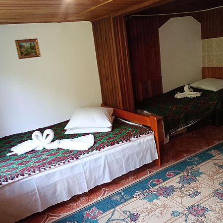Pensiunea Irina 3 Zarnesti Exterior foto