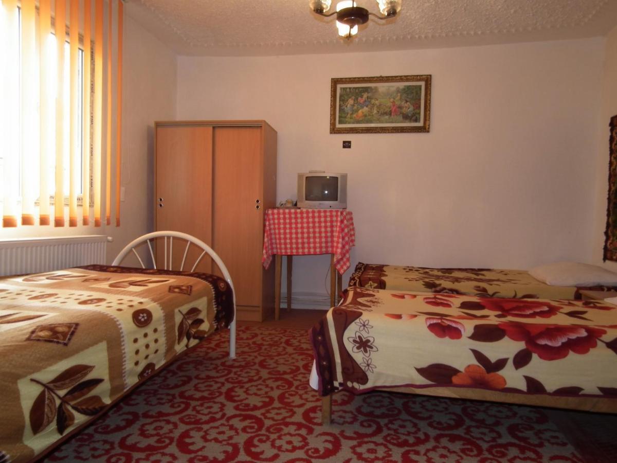 Pensiunea Irina 3 Zarnesti Exterior foto