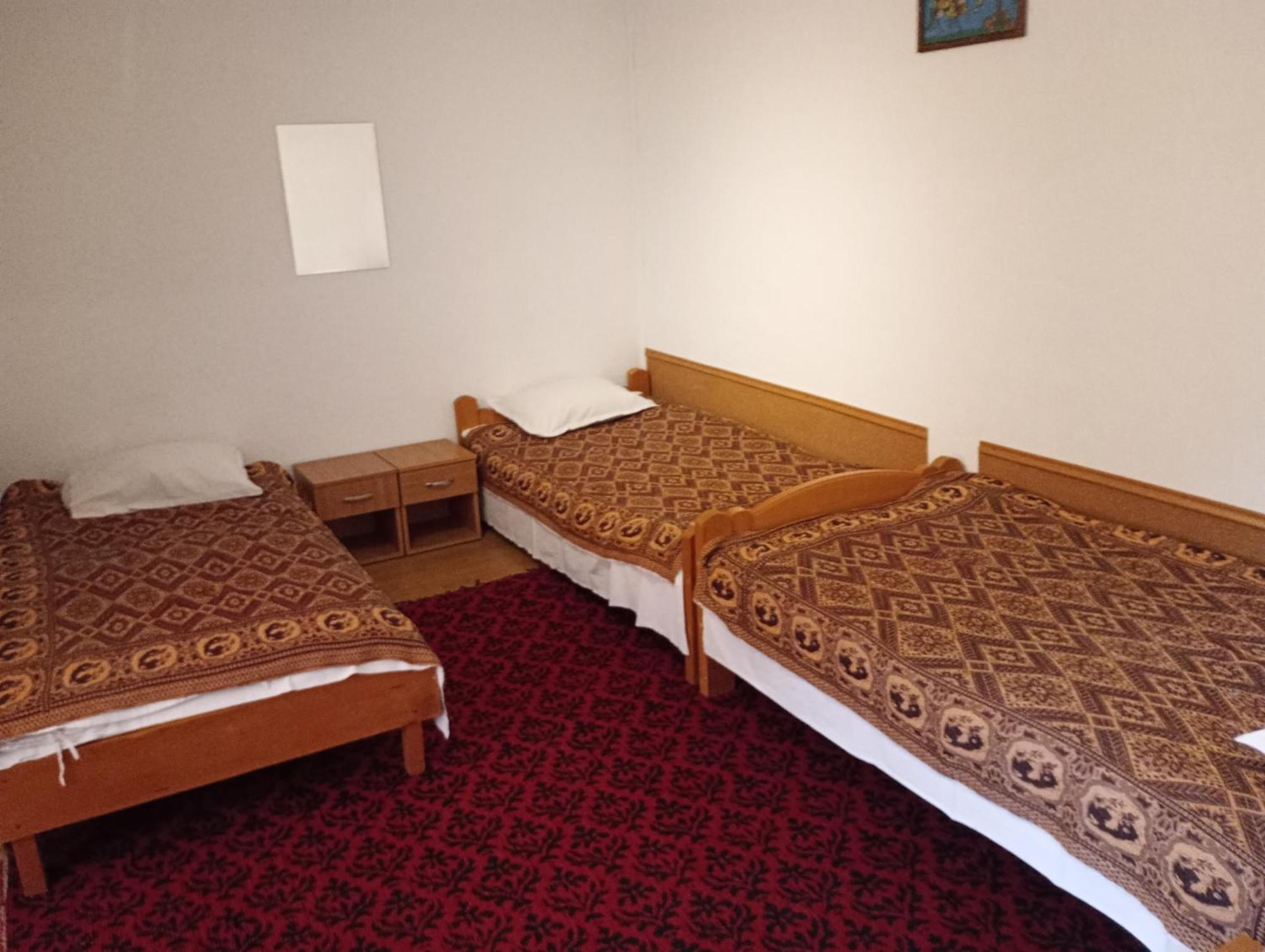 Pensiunea Irina 3 Zarnesti Exterior foto