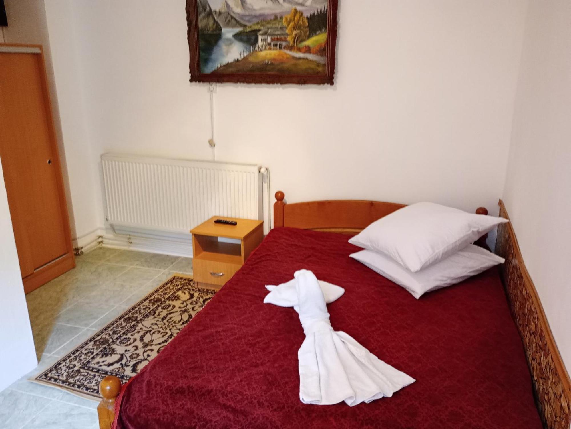 Pensiunea Irina 3 Zarnesti Exterior foto