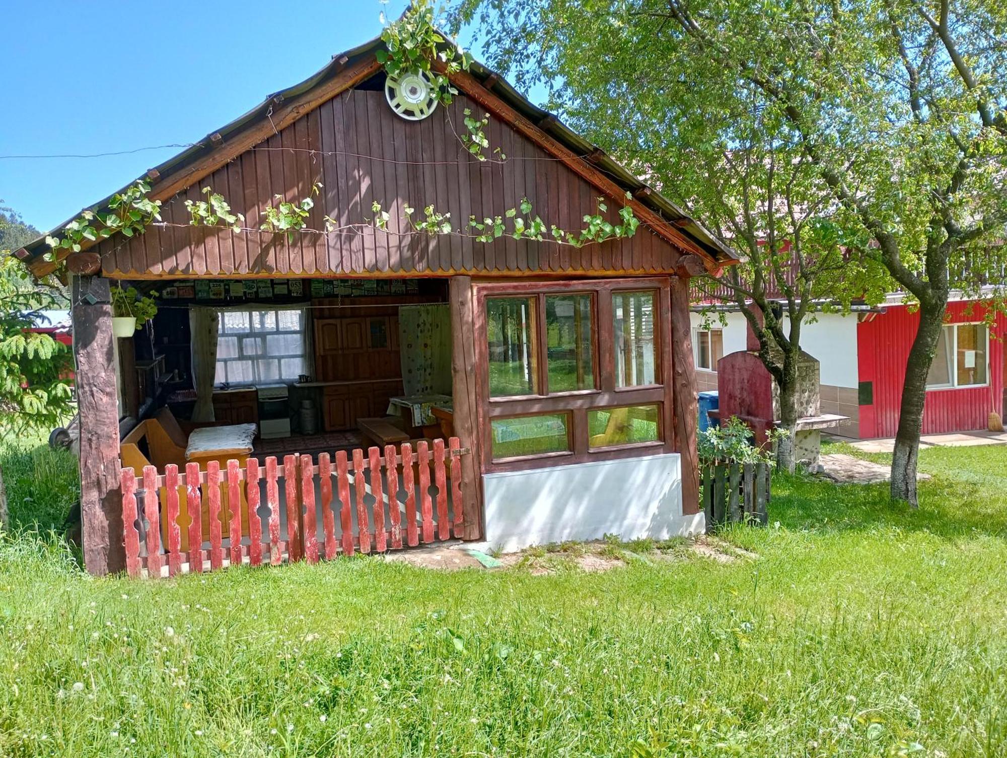 Pensiunea Irina 3 Zarnesti Exterior foto