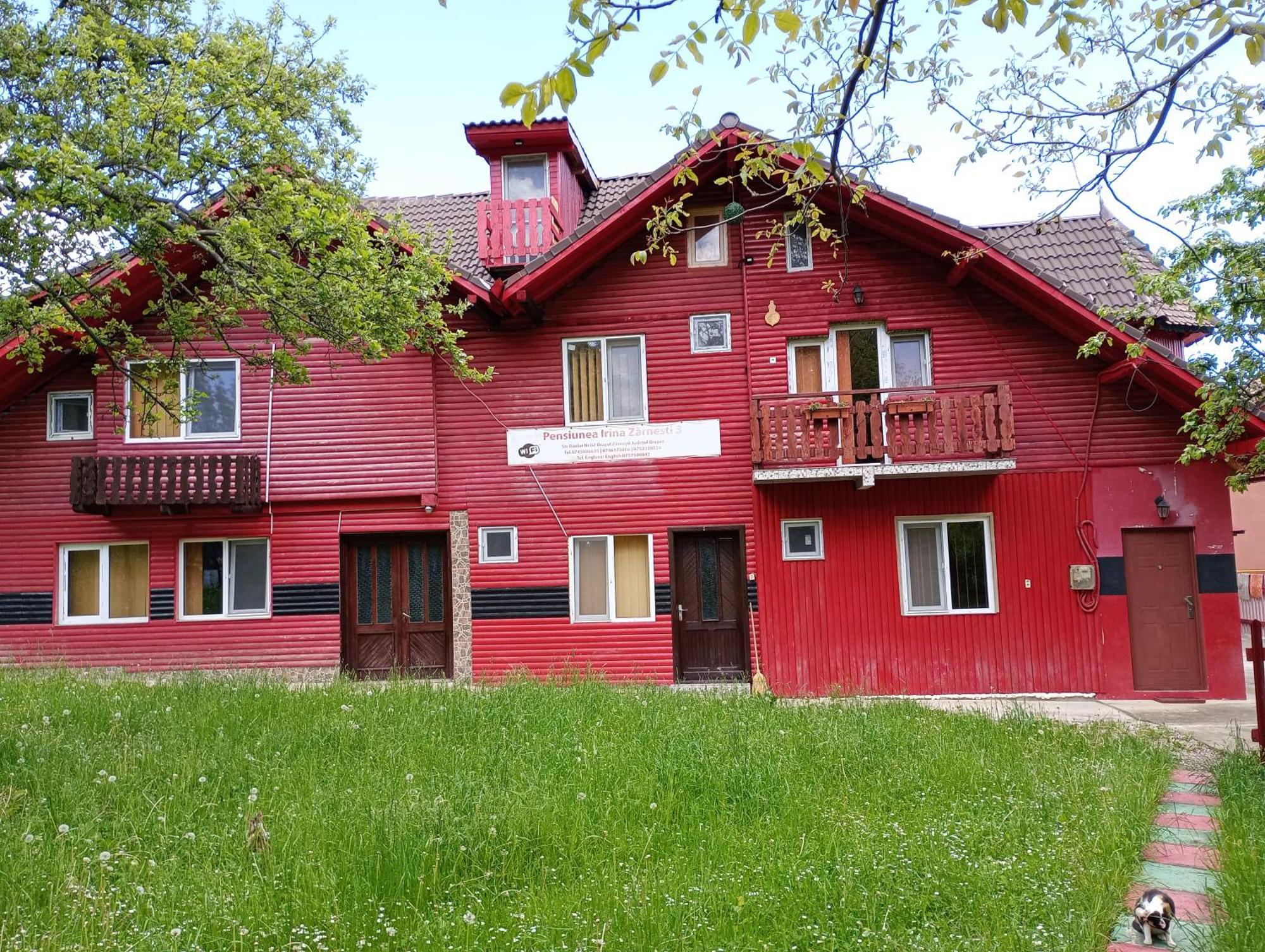 Pensiunea Irina 3 Zarnesti Exterior foto