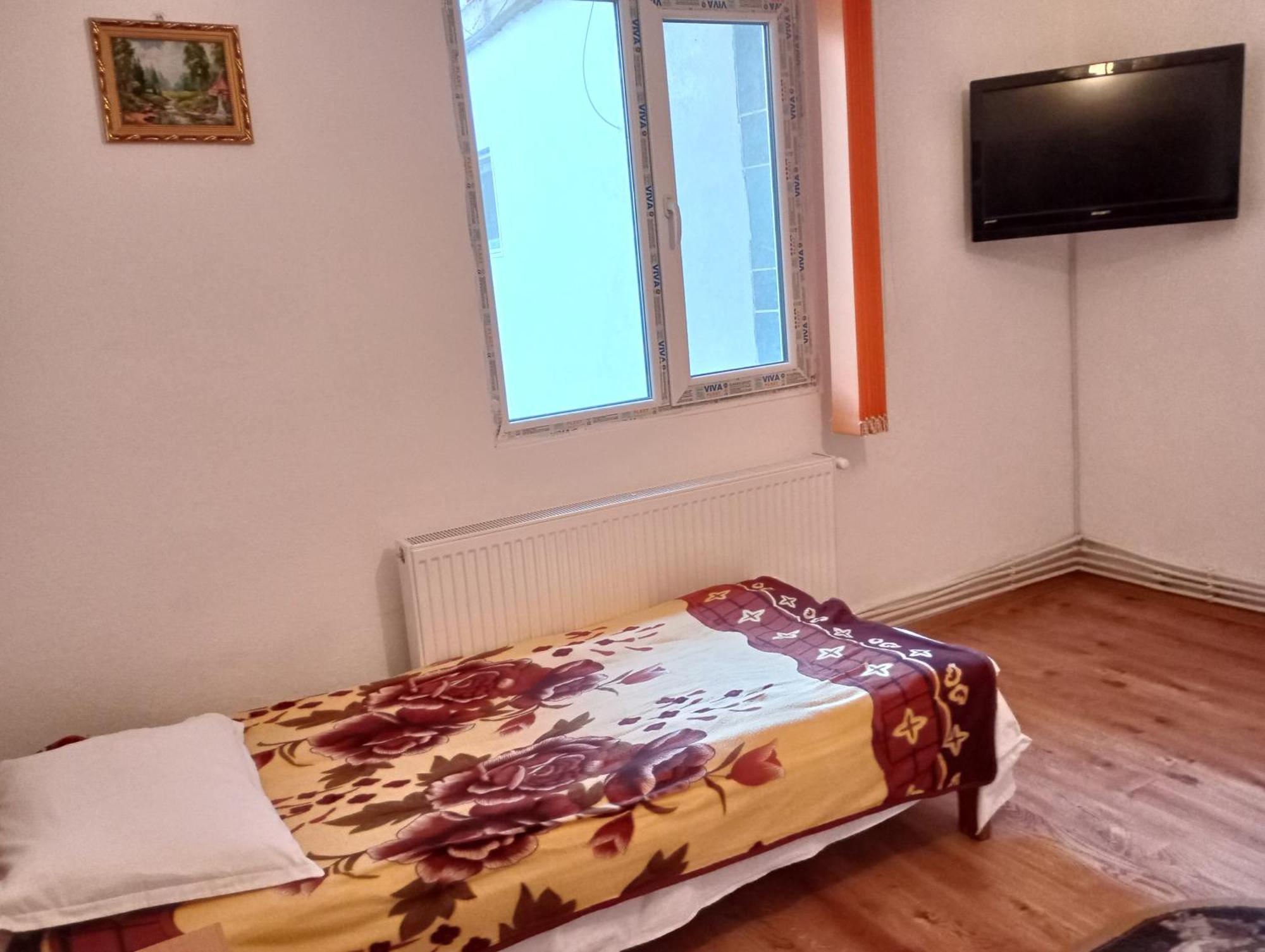 Pensiunea Irina 3 Zarnesti Exterior foto