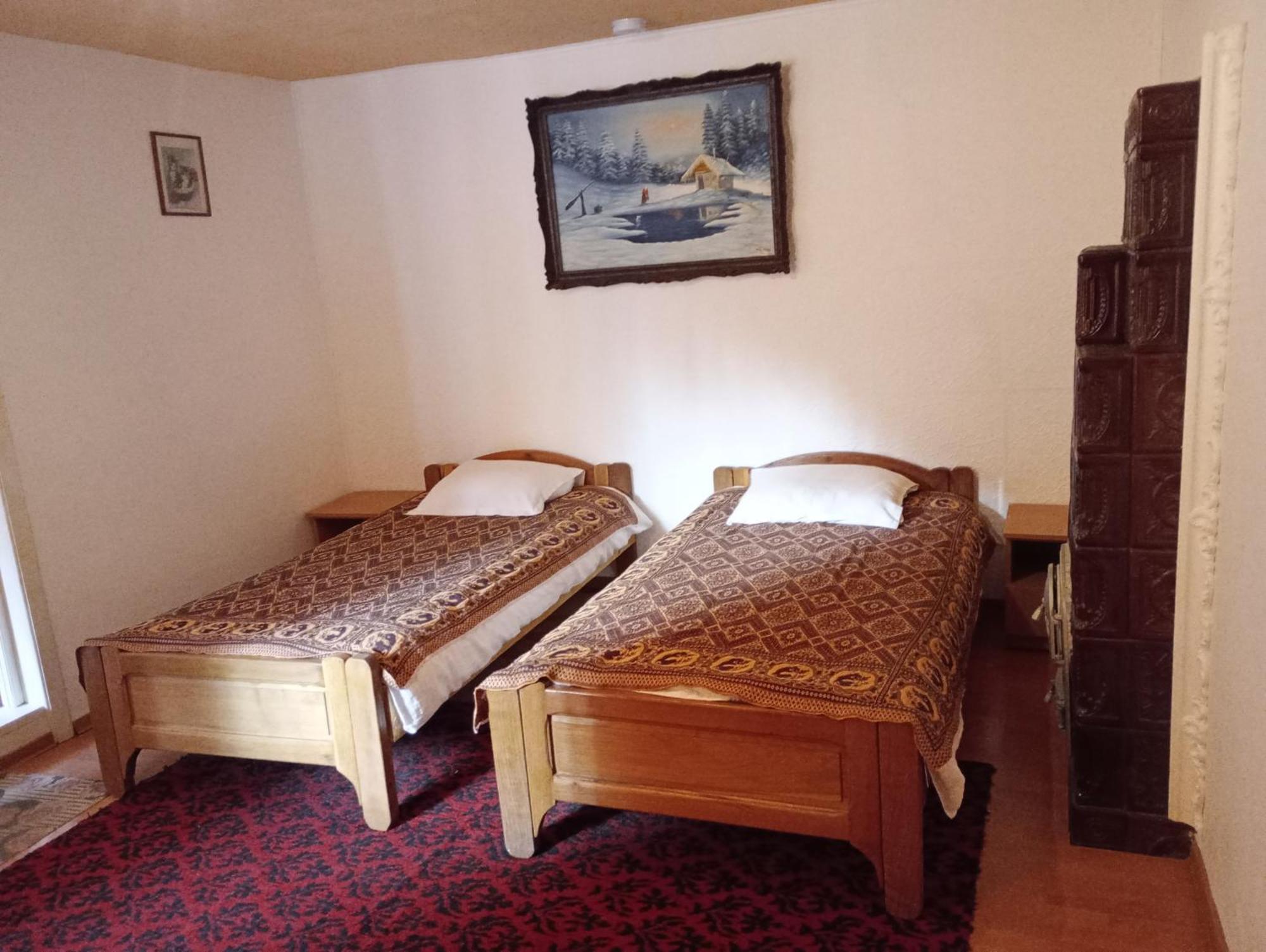 Pensiunea Irina 3 Zarnesti Exterior foto