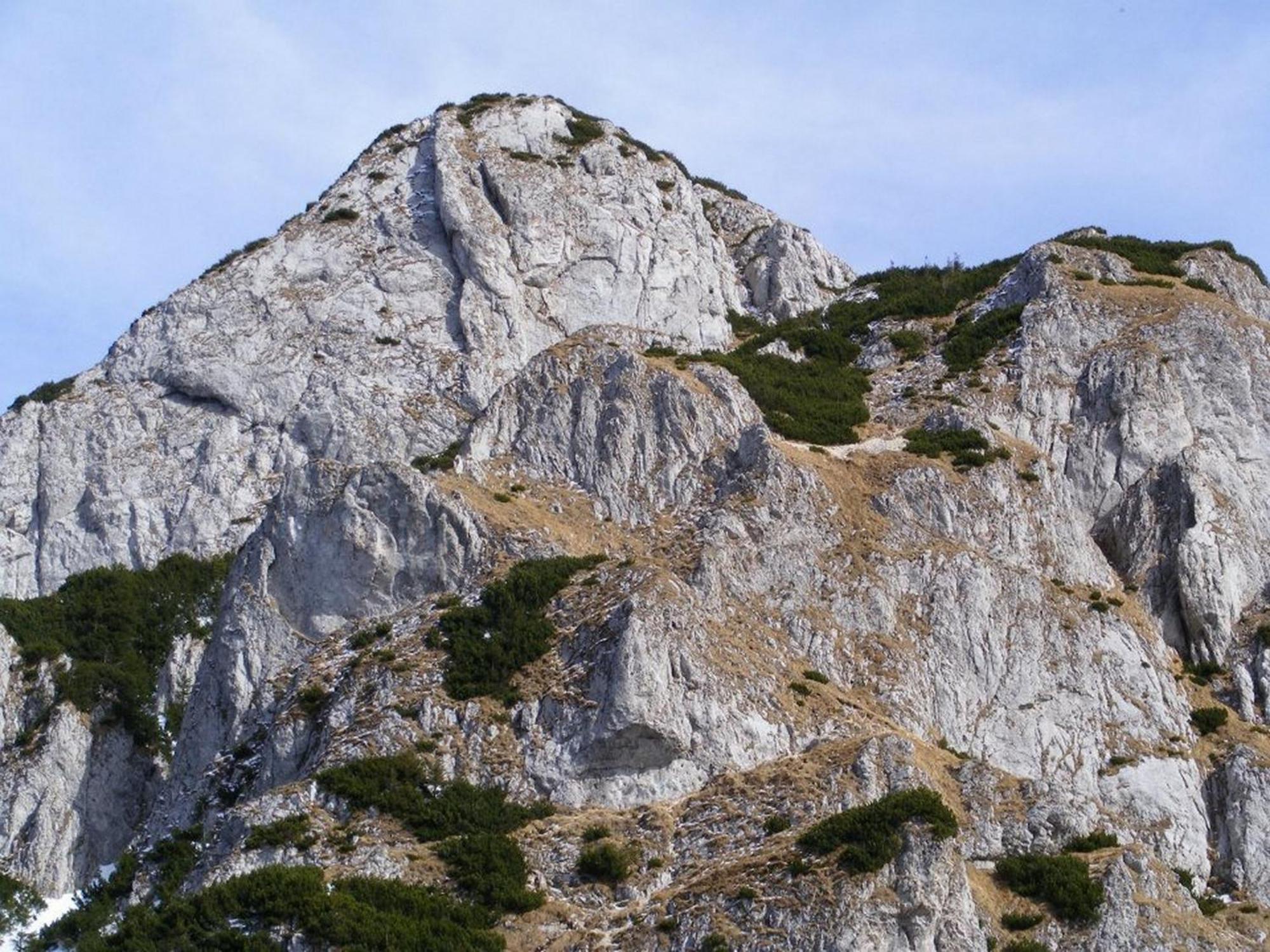 Pensiunea Irina 3 Zarnesti Exterior foto