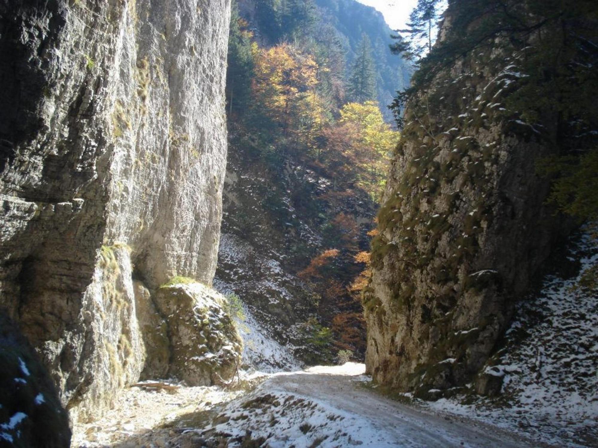 Pensiunea Irina 3 Zarnesti Exterior foto