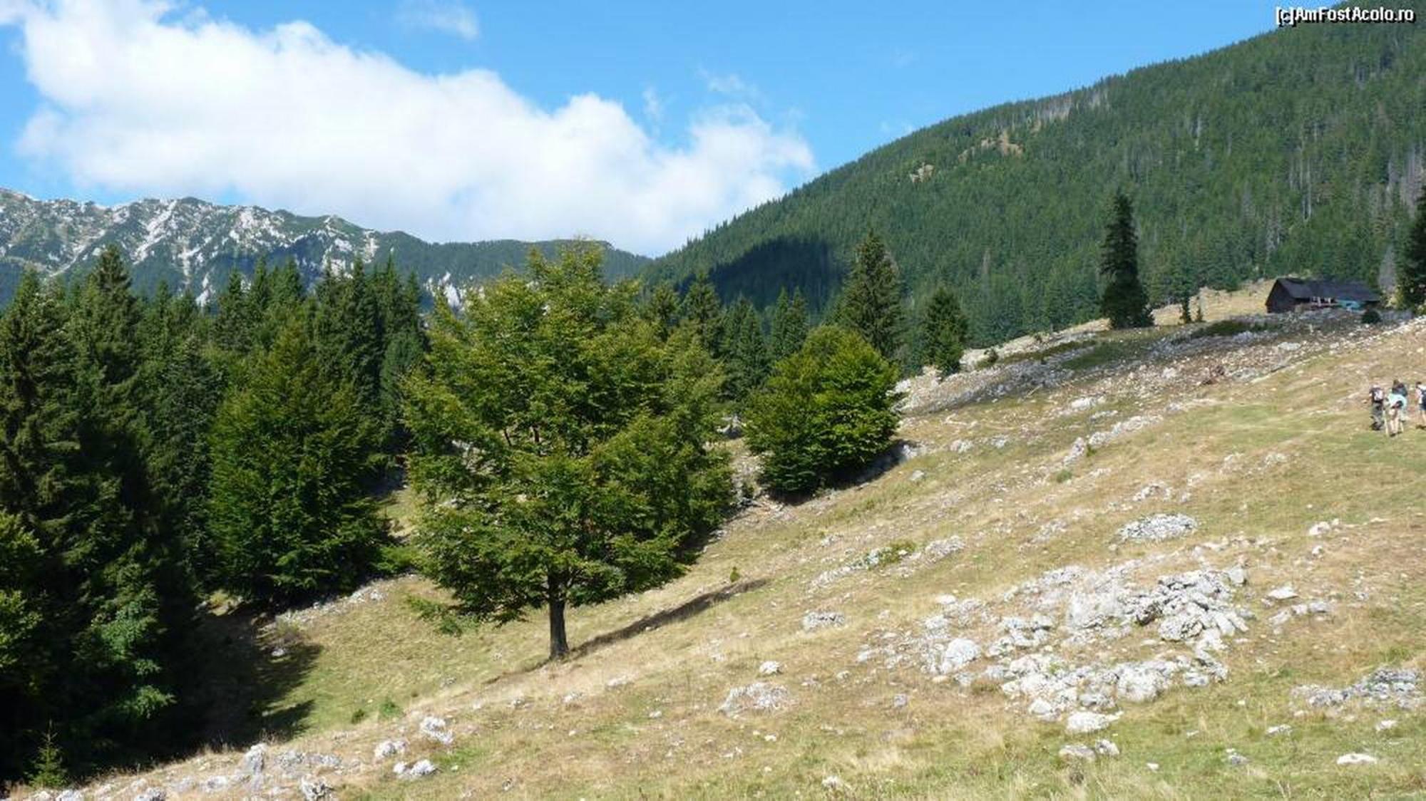 Pensiunea Irina 3 Zarnesti Exterior foto