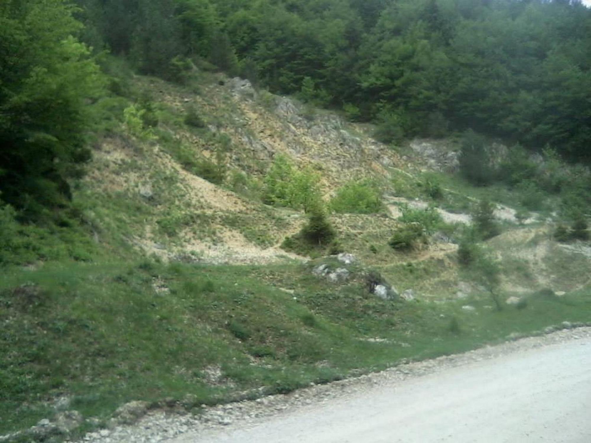 Pensiunea Irina 3 Zarnesti Exterior foto