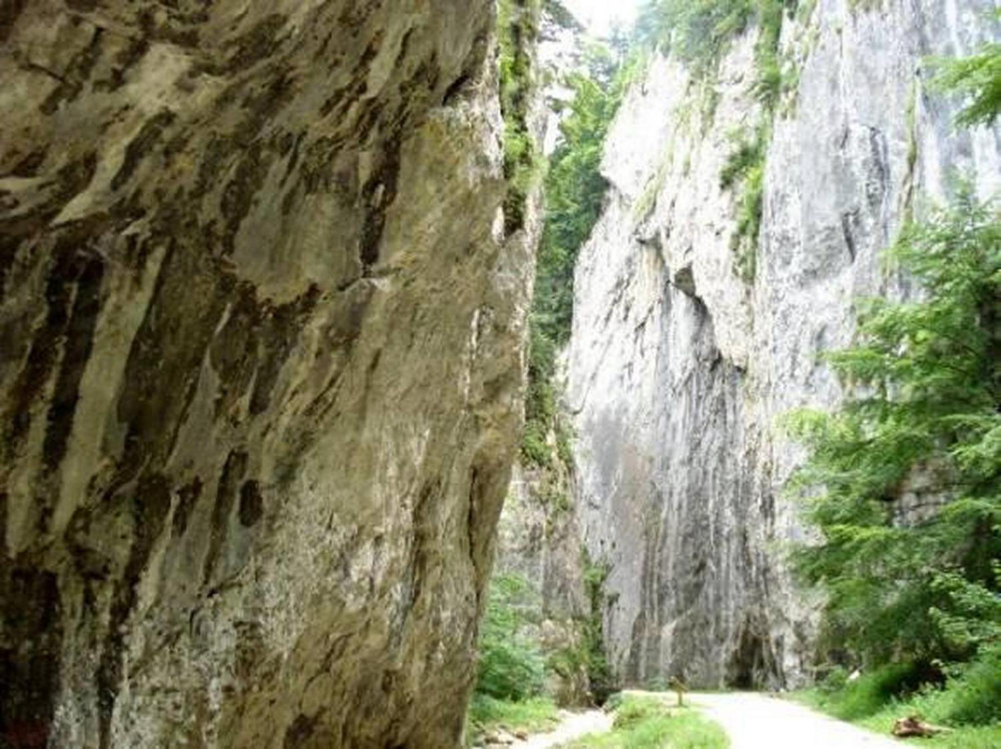 Pensiunea Irina 3 Zarnesti Exterior foto