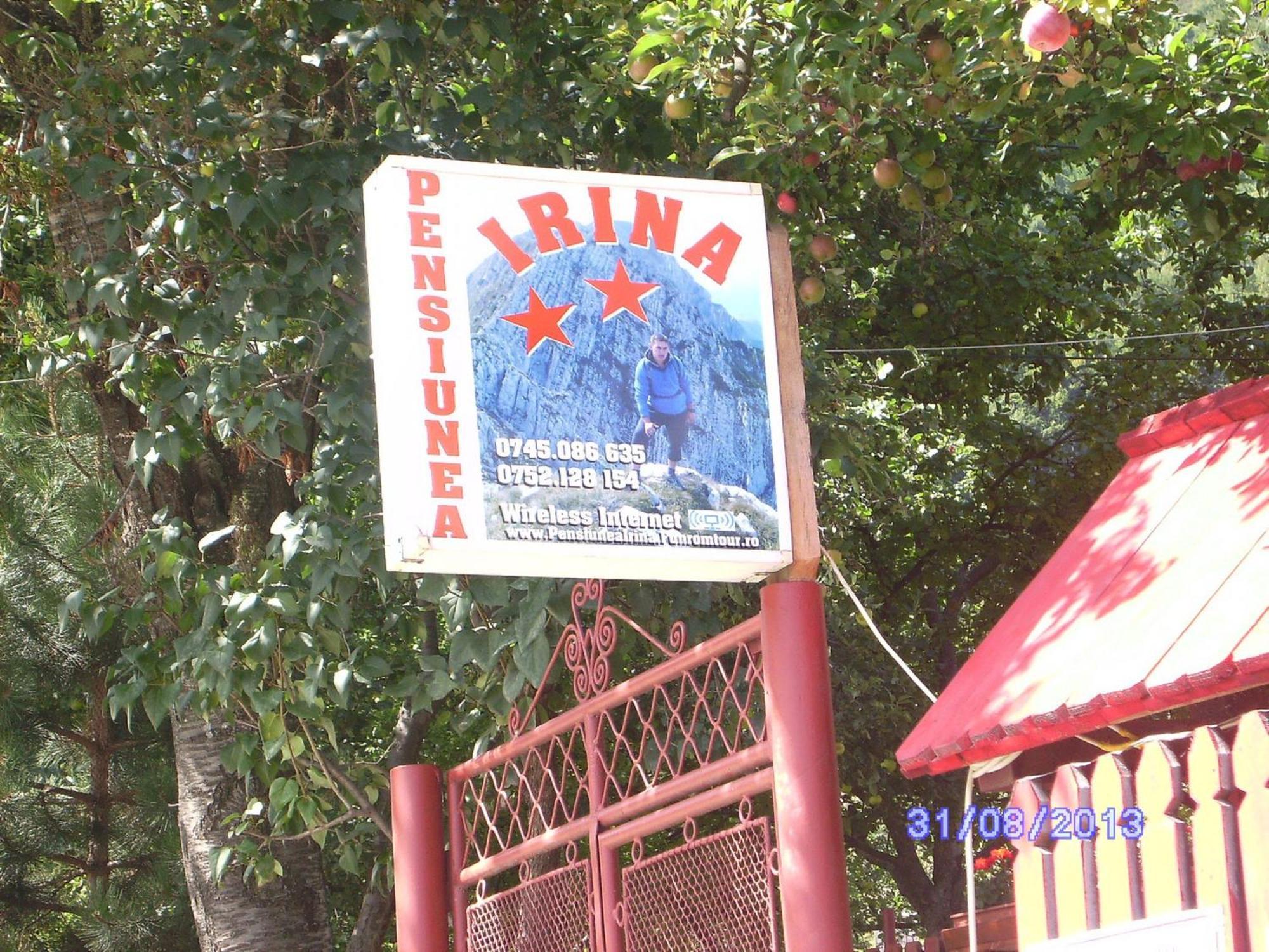Pensiunea Irina 3 Zarnesti Exterior foto