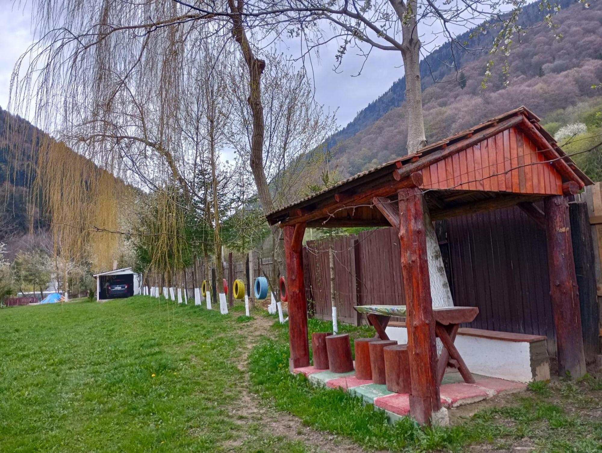 Pensiunea Irina 3 Zarnesti Exterior foto