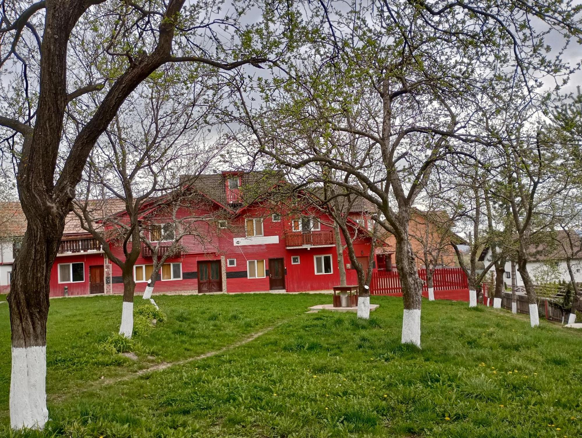 Pensiunea Irina 3 Zarnesti Exterior foto
