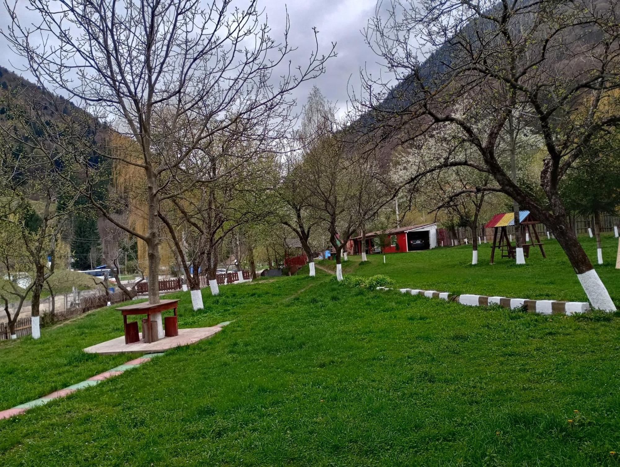 Pensiunea Irina 3 Zarnesti Exterior foto