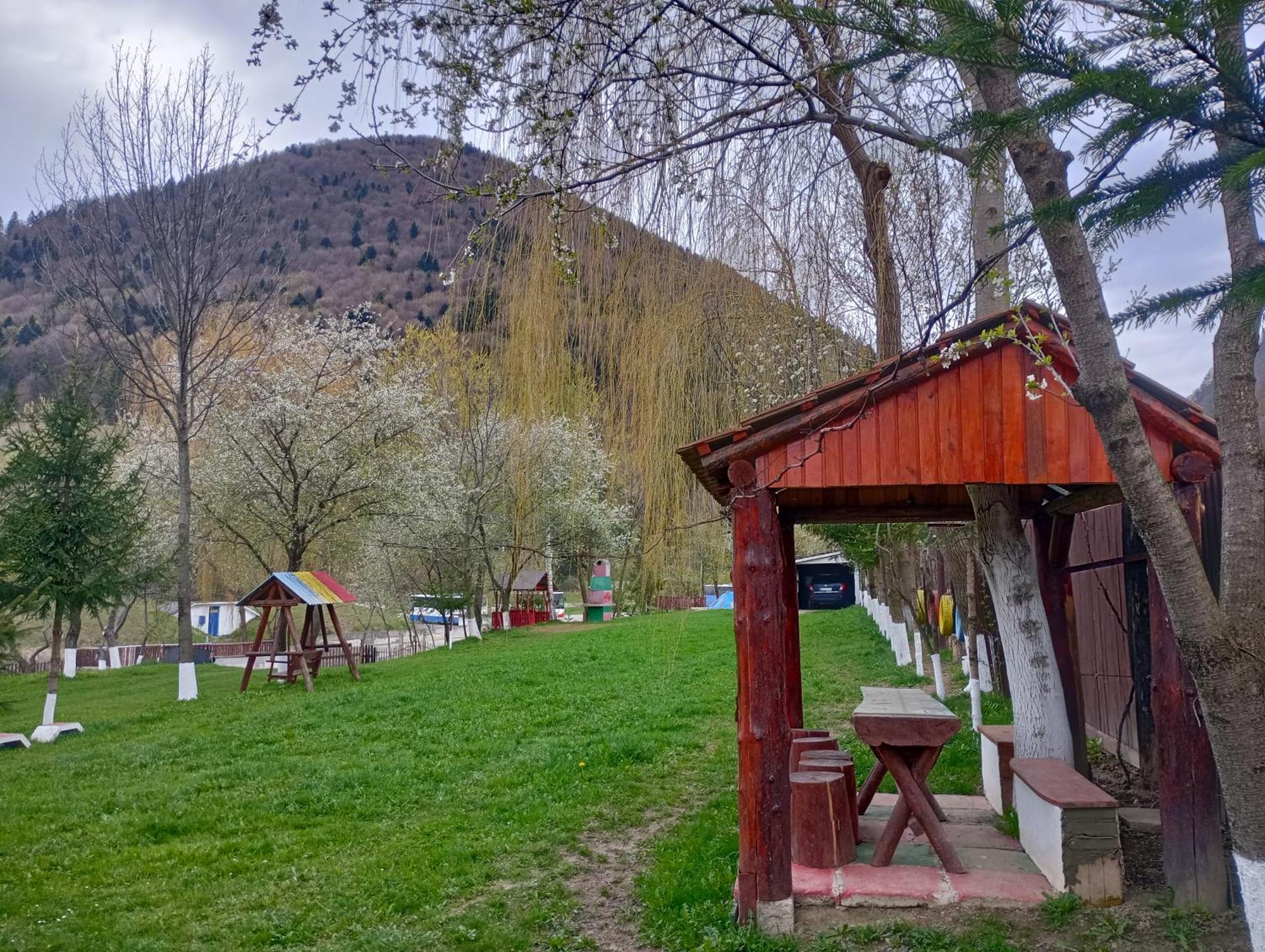 Pensiunea Irina 3 Zarnesti Exterior foto