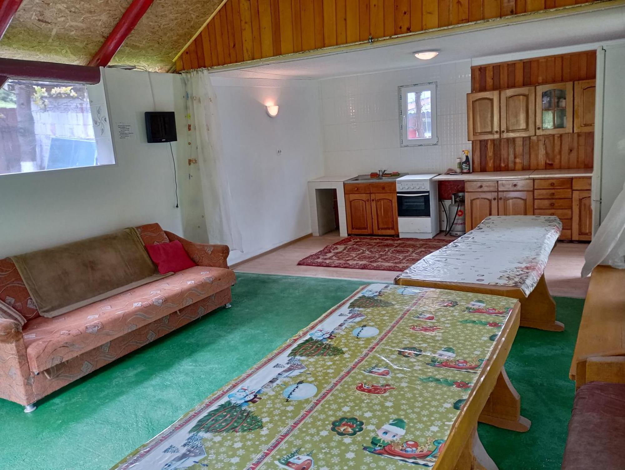 Pensiunea Irina 3 Zarnesti Exterior foto
